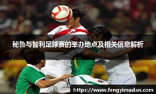 秘鲁与智利足球赛的举办地点及相关信息解析